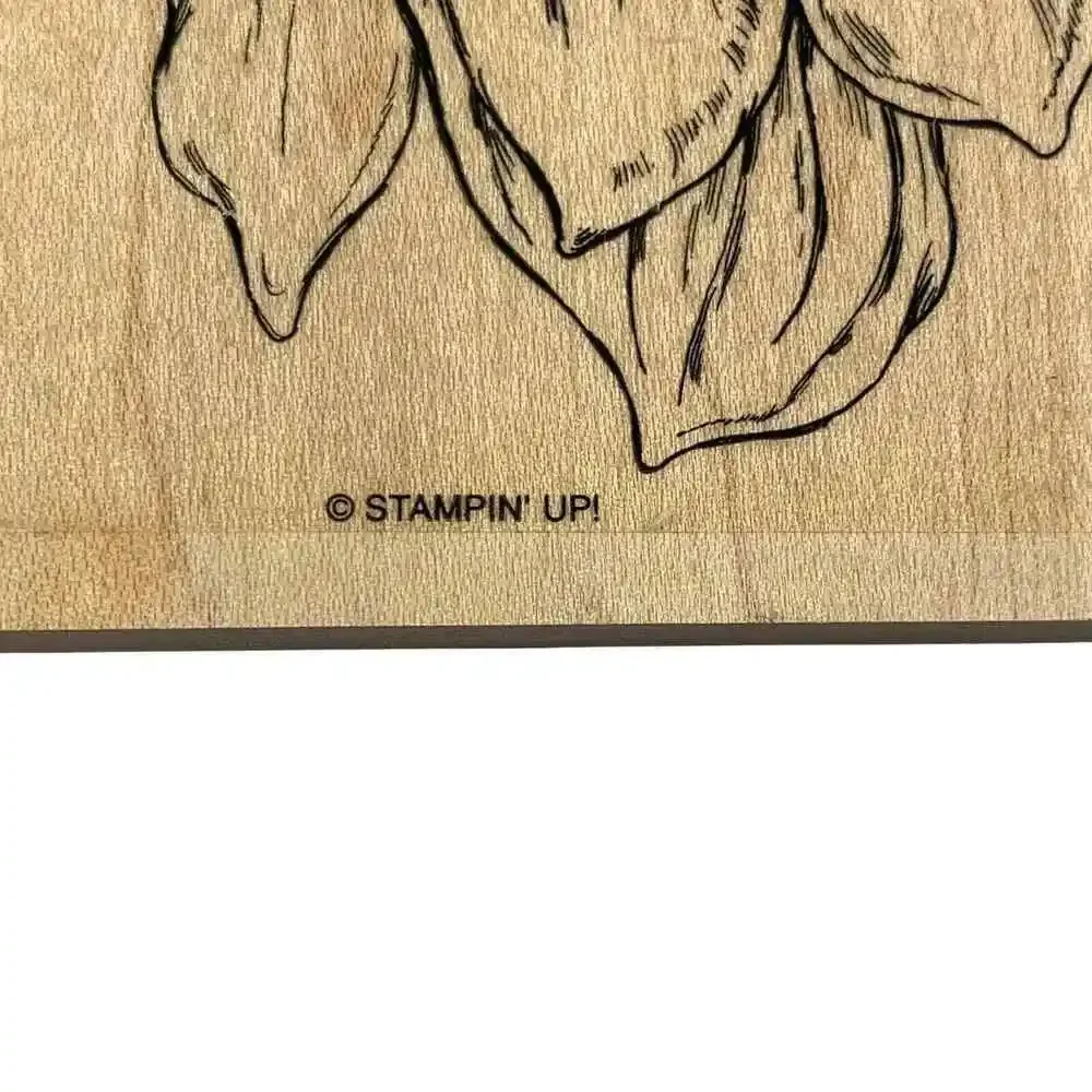 STAMPIN UP From The Garden Large Magnolia Flower Wood Mounted Rubber Stamp 5x6